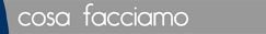 cosa facciamo